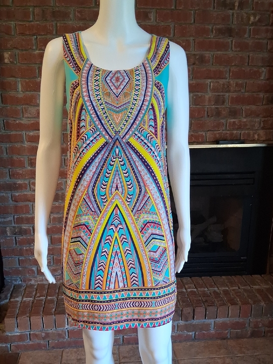 Pink Owl Dresses & Skirts - Pink Owl Multicolor Tribal Print Mini Dress